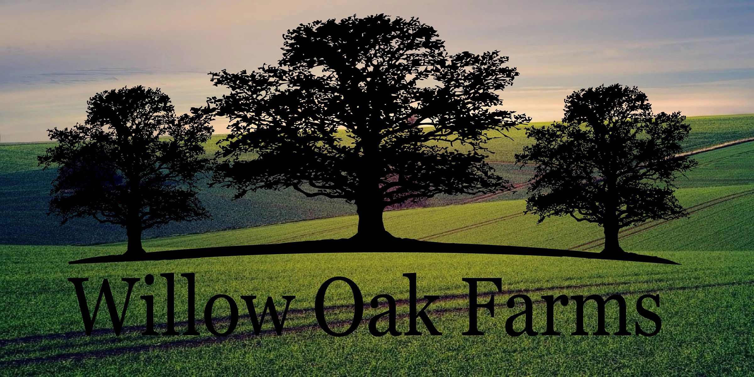 Willow Oak Farms